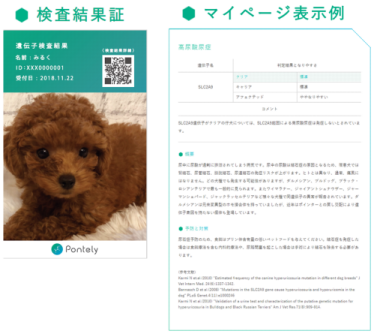 自宅で簡単！犬の遺伝子検査サービス | Pontely（ポンテリー）