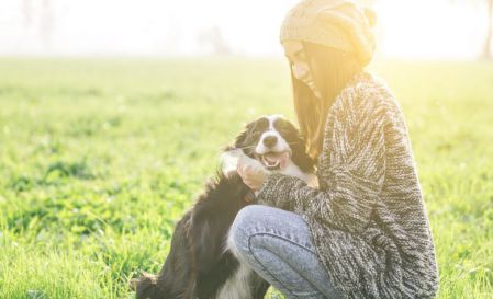 自宅で簡単！犬の遺伝子検査サービス | Pontely（ポンテリー）